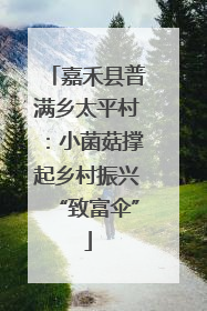 嘉禾县普满乡太平村：小菌菇撑起乡村振兴“致富伞”