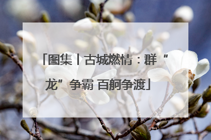 图集丨古城燃情：群“龙”争霸 百舸争渡