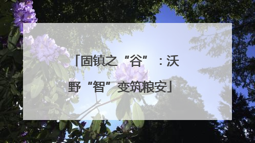 固镇之“谷”：沃野“智”变筑粮安
