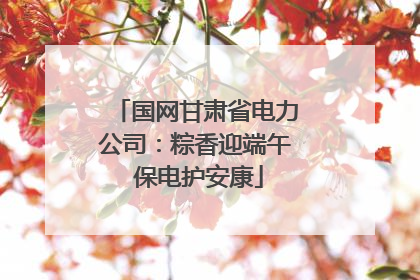 国网甘肃省电力公司：粽香迎端午 保电护安康