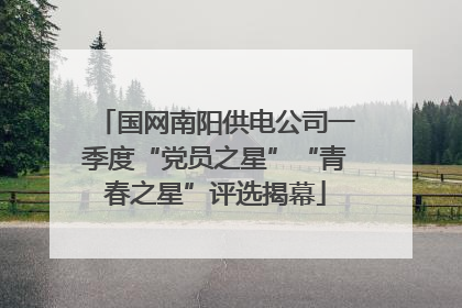 国网南阳供电公司一季度“党员之星”“青春之星”评选揭幕