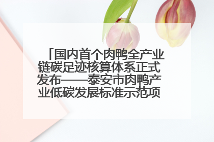 国内首个肉鸭全产业链碳足迹核算体系正式发布——泰安市肉鸭产业低碳发展标准示范项目顺利通过验收