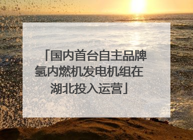 国内首台自主品牌氢内燃机发电机组在湖北投入运营