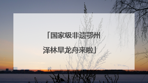 国家级非遗鄂州泽林旱龙舟来啦