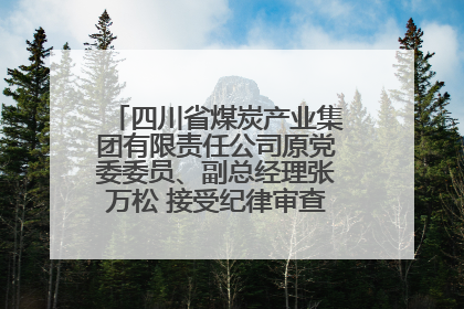 四川省煤炭产业集团有限责任公司原党委委员、副总经理张万松 接受纪律审查和监察调查