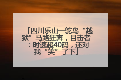 四川乐山一鸵鸟“越狱”马路狂奔，目击者：时速超40码，还对我“笑”了下