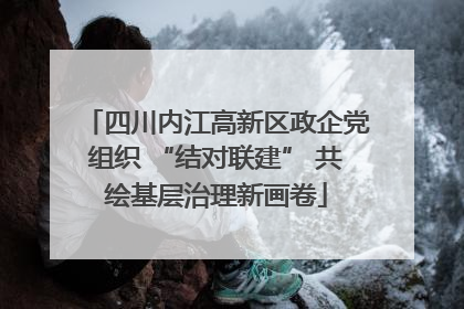 四川内江高新区政企党组织 “结对联建” 共绘基层治理新画卷