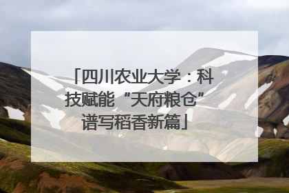 四川农业大学：科技赋能“天府粮仓”谱写稻香新篇