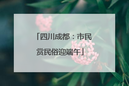 四川成都：市民赏民俗迎端午