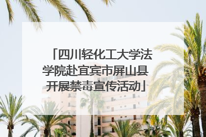 四川轻化工大学法学院赴宜宾市屏山县开展禁毒宣传活动