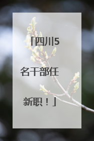 四川5名干部任新职！