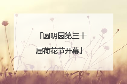 圆明园第三十届荷花节开幕
