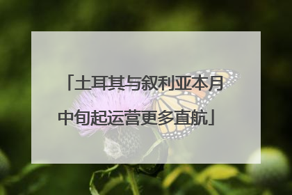 土耳其与叙利亚本月中旬起运营更多直航