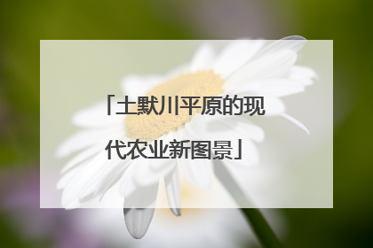 土默川平原的现代农业新图景