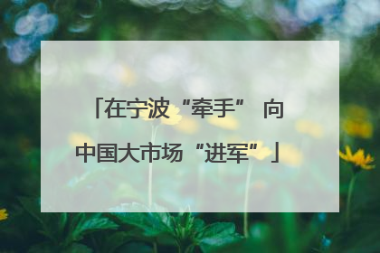 在宁波“牵手” 向中国大市场“进军”