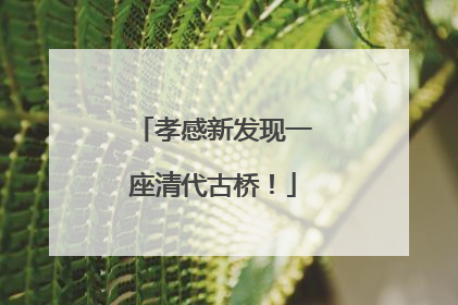 孝感新发现一座清代古桥！