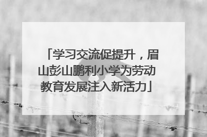 学习交流促提升，眉山彭山鹏利小学为劳动教育发展注入新活力
