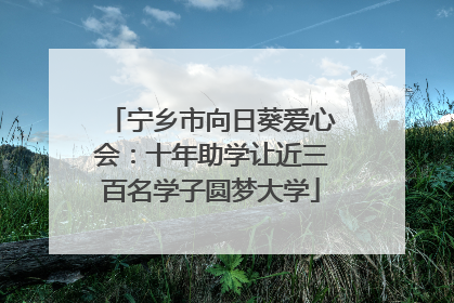 宁乡市向日葵爱心会：十年助学让近三百名学子圆梦大学