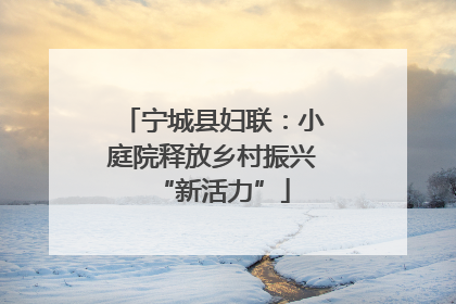 宁城县妇联：小庭院释放乡村振兴“新活力”