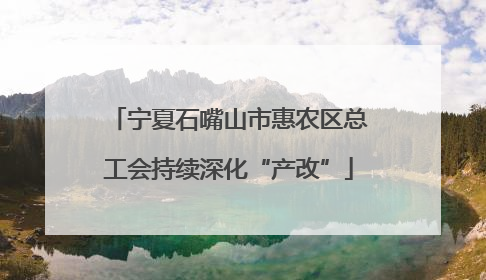 宁夏石嘴山市惠农区总工会持续深化“产改”