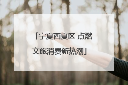 宁夏西夏区 点燃文旅消费新热潮
