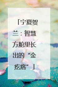 宁夏贺兰：智慧方舱里长出的“金疙瘩”