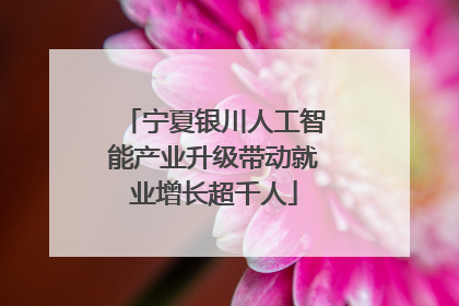 宁夏银川人工智能产业升级带动就业增长超千人