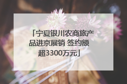宁夏银川农商旅产品进京展销 签约额超3300万元