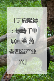 宁夏隆德：绿畴千里展画卷 药香四溢产业兴