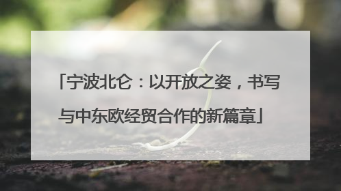 宁波北仑：以开放之姿，书写与中东欧经贸合作的新篇章