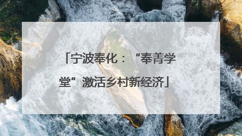 宁波奉化：“奉菁学堂”激活乡村新经济
