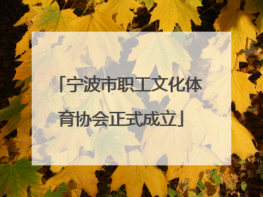 宁波市职工文化体育协会正式成立