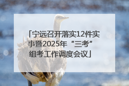 宁远召开落实12件实事暨2025年“三考”组考工作调度会议