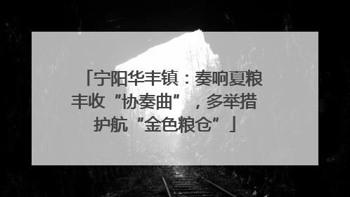 宁阳华丰镇：奏响夏粮丰收“协奏曲”，多举措护航“金色粮仓”