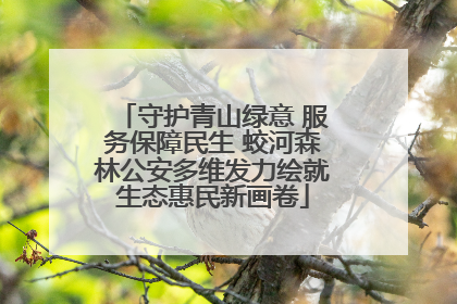 守护青山绿意 服务保障民生 蛟河森林公安多维发力绘就生态惠民新画卷