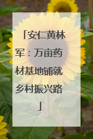 安仁黄林军：万亩药材基地铺就乡村振兴路