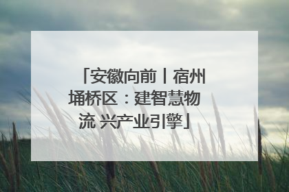 安徽向前丨宿州埇桥区：建智慧物流 兴产业引擎