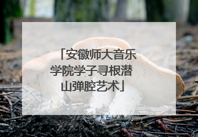 安徽师大音乐学院学子寻根潜山弹腔艺术