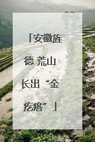 安徽旌德 荒山长出“金疙瘩”