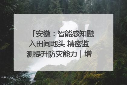 安徽：智能感知融入田间地头 精密监测提升防灾能力｜增发国债气象项目落地见效系列报道