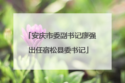 安庆市委副书记廖强出任宿松县委书记