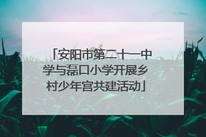 安阳市第二十一中学与磊口小学开展乡村少年宫共建活动