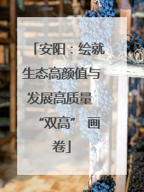 安阳：绘就生态高颜值与发展高质量 “双高” 画卷