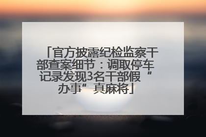 官方披露纪检监察干部查案细节：调取停车记录发现3名干部假“办事”真麻将