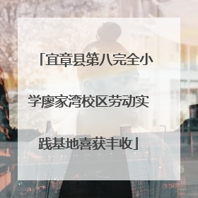 宜章县第八完全小学廖家湾校区劳动实践基地喜获丰收
