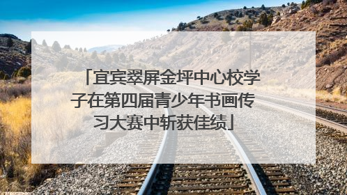 宜宾翠屏金坪中心校学子在第四届青少年书画传习大赛中斩获佳绩