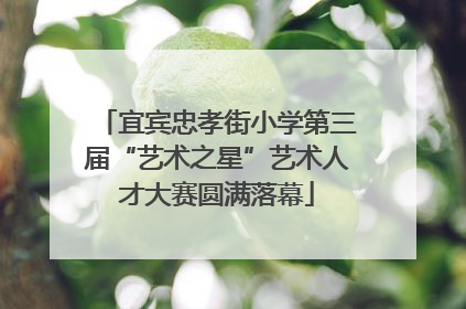 宜宾忠孝街小学第三届“艺术之星”艺术人才大赛圆满落幕