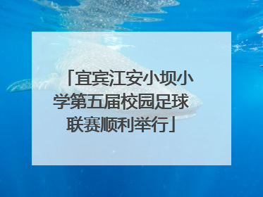 宜宾江安小坝小学第五届校园足球联赛顺利举行