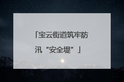 宝云街道筑牢防汛“安全堤”