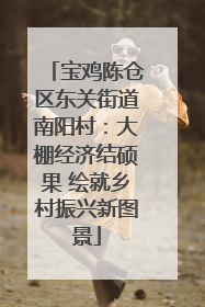 宝鸡陈仓区东关街道南阳村：大棚经济结硕果 绘就乡村振兴新图景